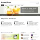 Web corporativa limpia – Broadscope