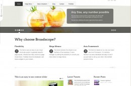 Web corporativa limpia – Broadscope