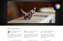 Web corporativa elegante – Striking