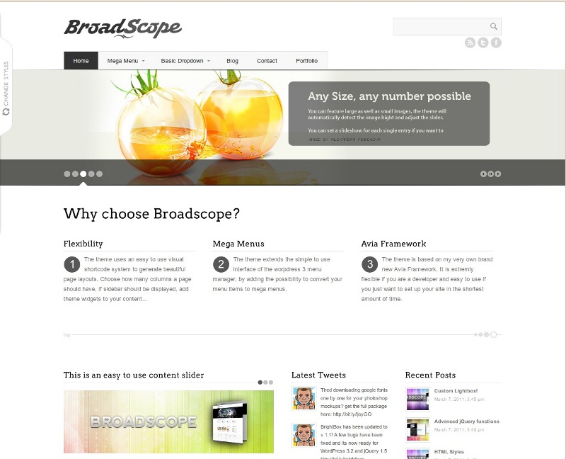 Web corporativa limpia – Broadscope