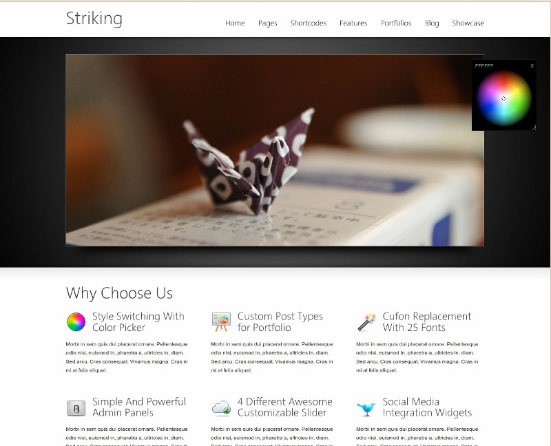 Web corporativa elegante – Striking