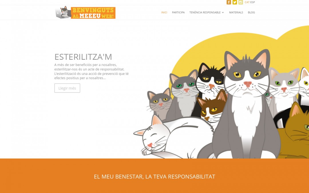 Web bilingüe para protectora de gatos